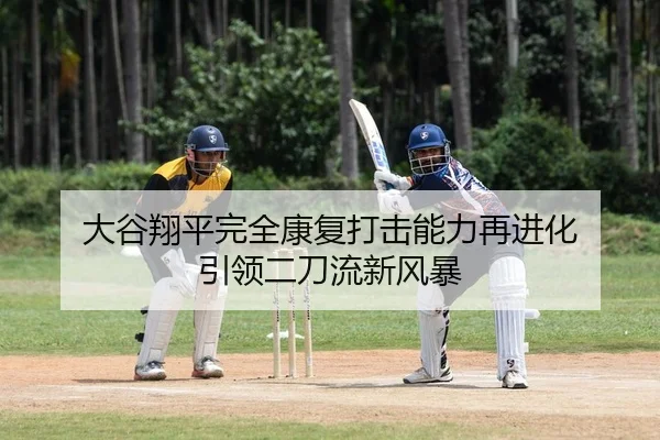 大谷翔平完全康复打击能力再进化 引领二刀流新风暴 | leyu